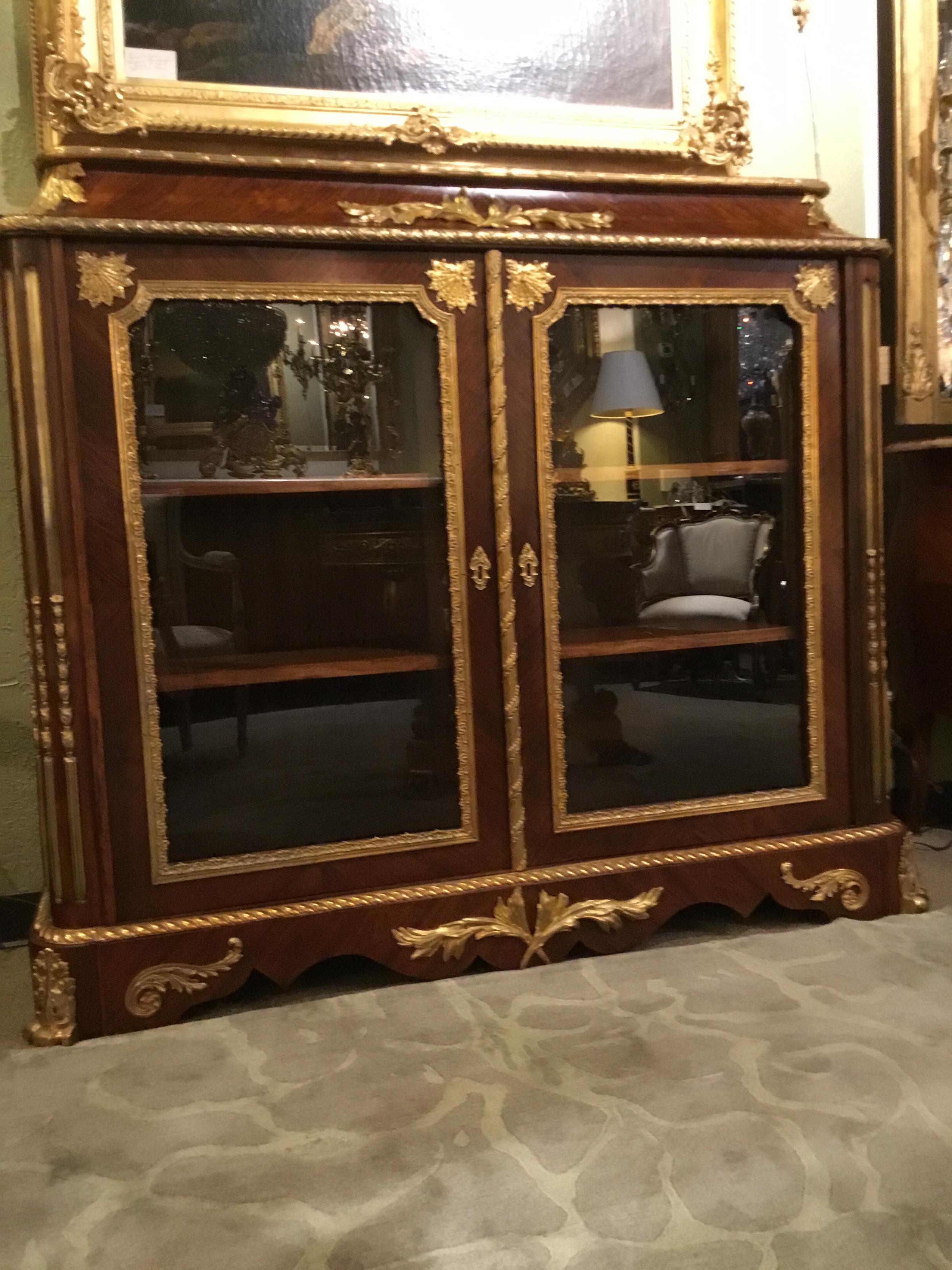 French Louis XV Style Gilt Bronze Mounted Two Door Vitrine/Bookcase 19th Century 7