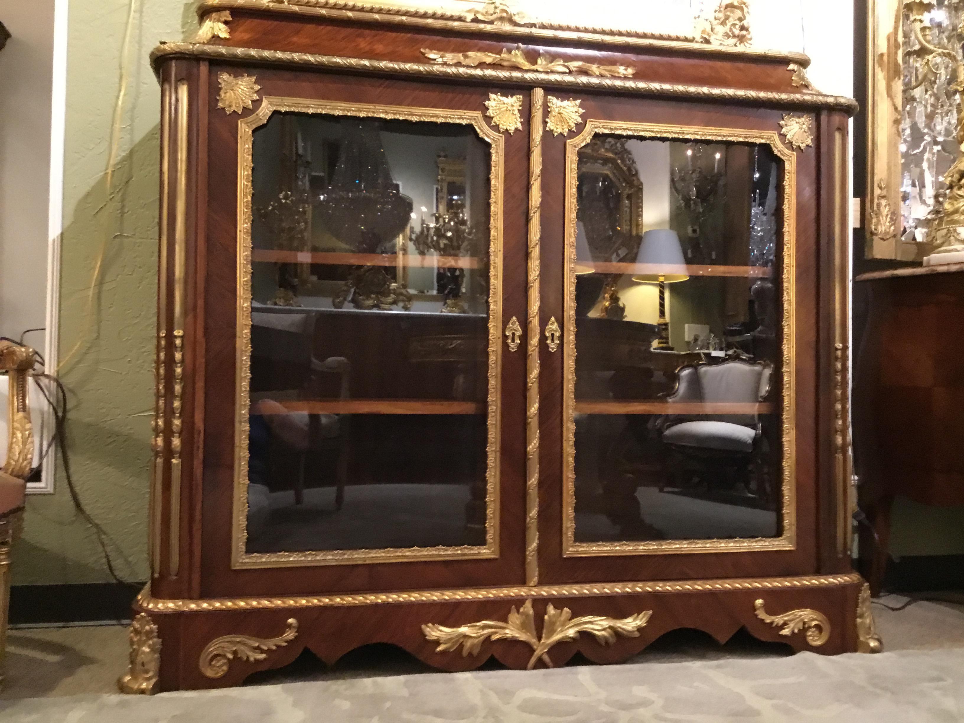 French Louis XV Style Gilt Bronze Mounted Two Door Vitrine/Bookcase 19th Century 8