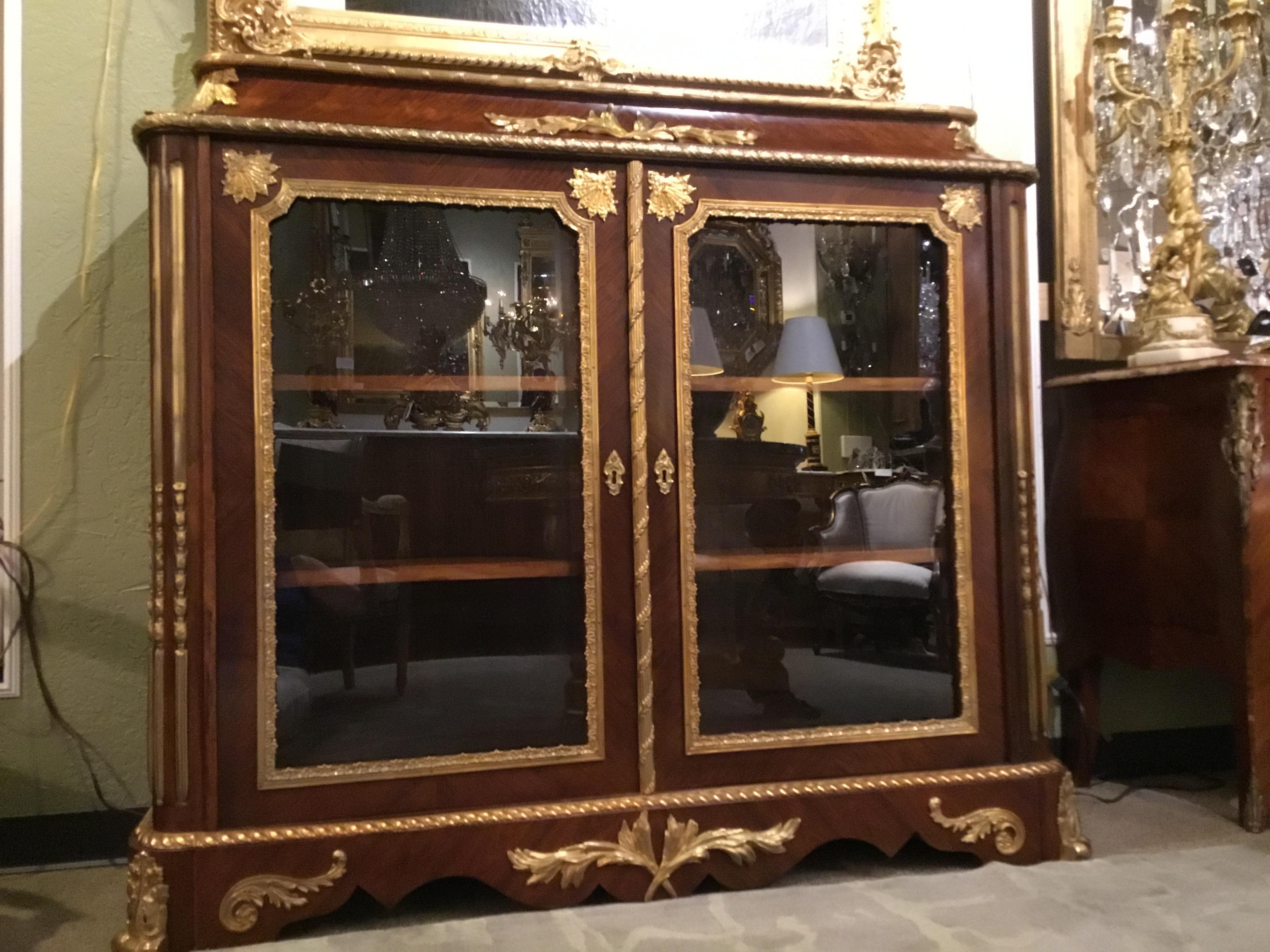 French Louis XV Style Gilt Bronze Mounted Two Door Vitrine/Bookcase 19th Century 10