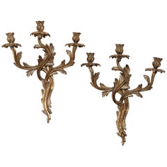 French Louis XV Style Gilt Bronze Sconces, Pair