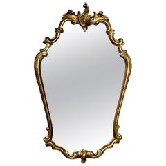 French Louis XV Style Giltwood Rococo Wall Mirror, 20.