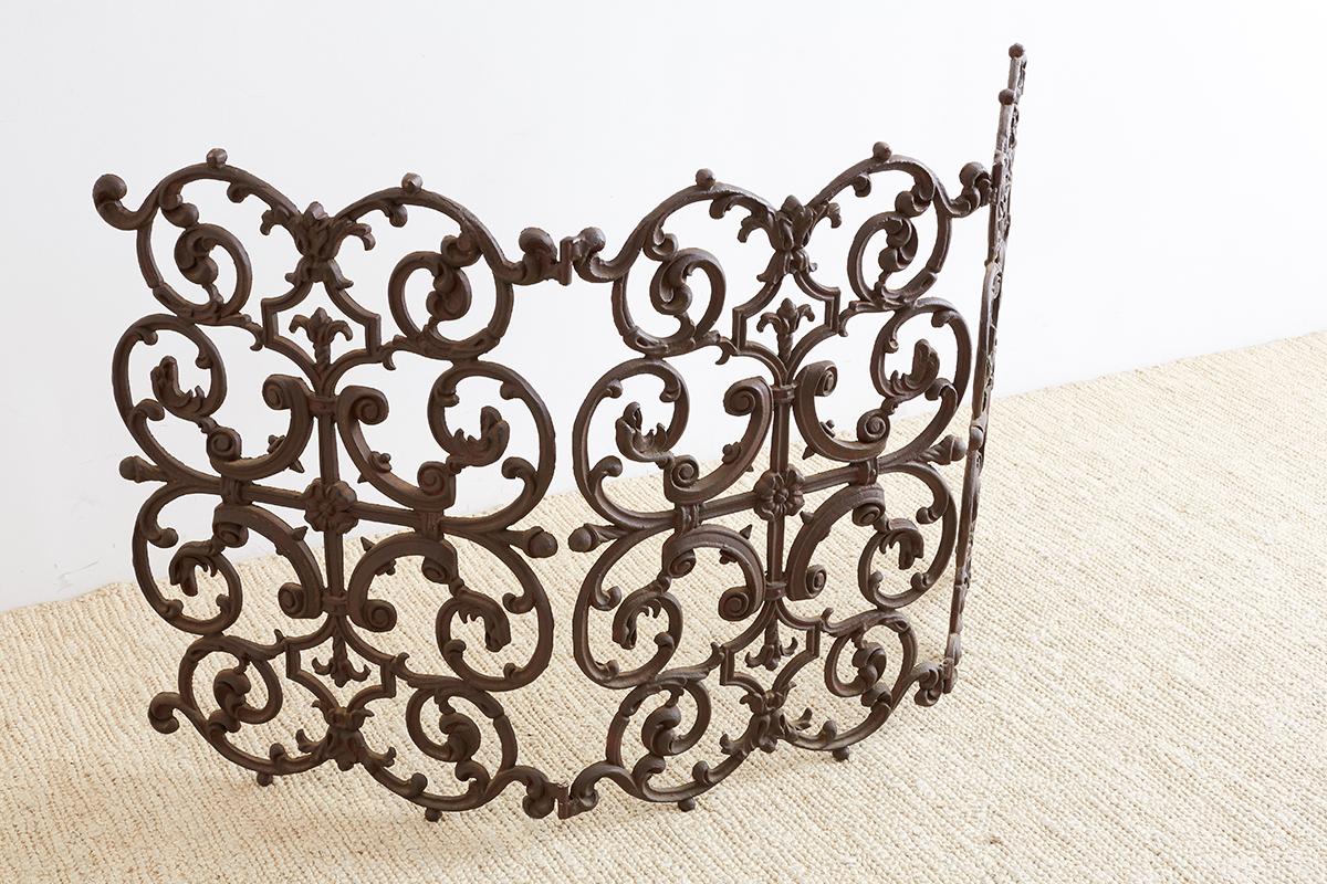 French Louis XV Style Iron Fireplace Screen 6