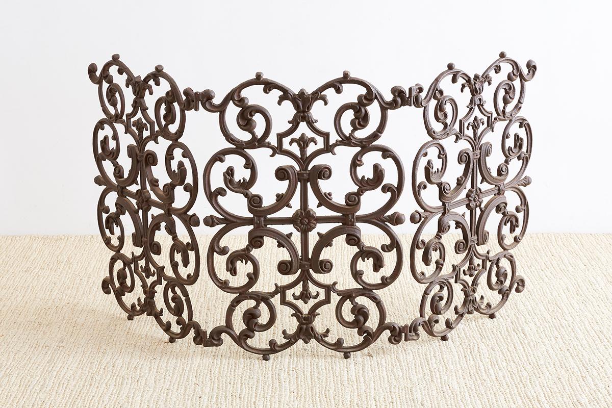 American French Louis XV Style Iron Fireplace Screen