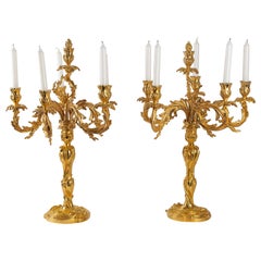 French Louis XV Style Large Pair of Gilt-Bronze Candelabra, circa 1850