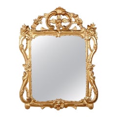 French Louis XV Style Parclose Giltwood Wall Mirror