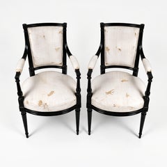 French Louis XVI Black Lacquer Salon Set, 19th Century Canapé & 4 Armchairs