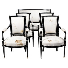 French Louis XVI Black Lacquer Salon Set, 19th Century Canapé & 4 Armchairs