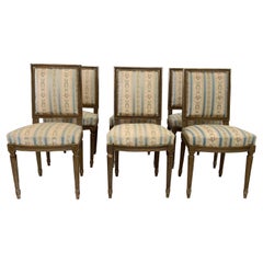French Louis XVI Chairs Early 20th Century