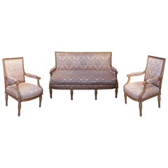 French Louis XVI Giltwood Salon Set, 19th Century with Settee and Two Armchairs