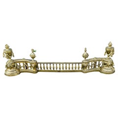 French Louis XVI Neoclassical Urn Lion Head Brass Fireplace Chenets & Fender Set