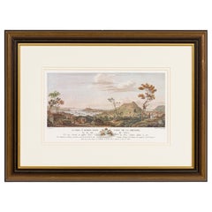 French Louis XVI Style Framed Colored Print of Grenadian Topography