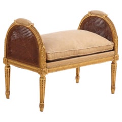French Louis XVI Style Giltwood and Caned Bench, C. 1900