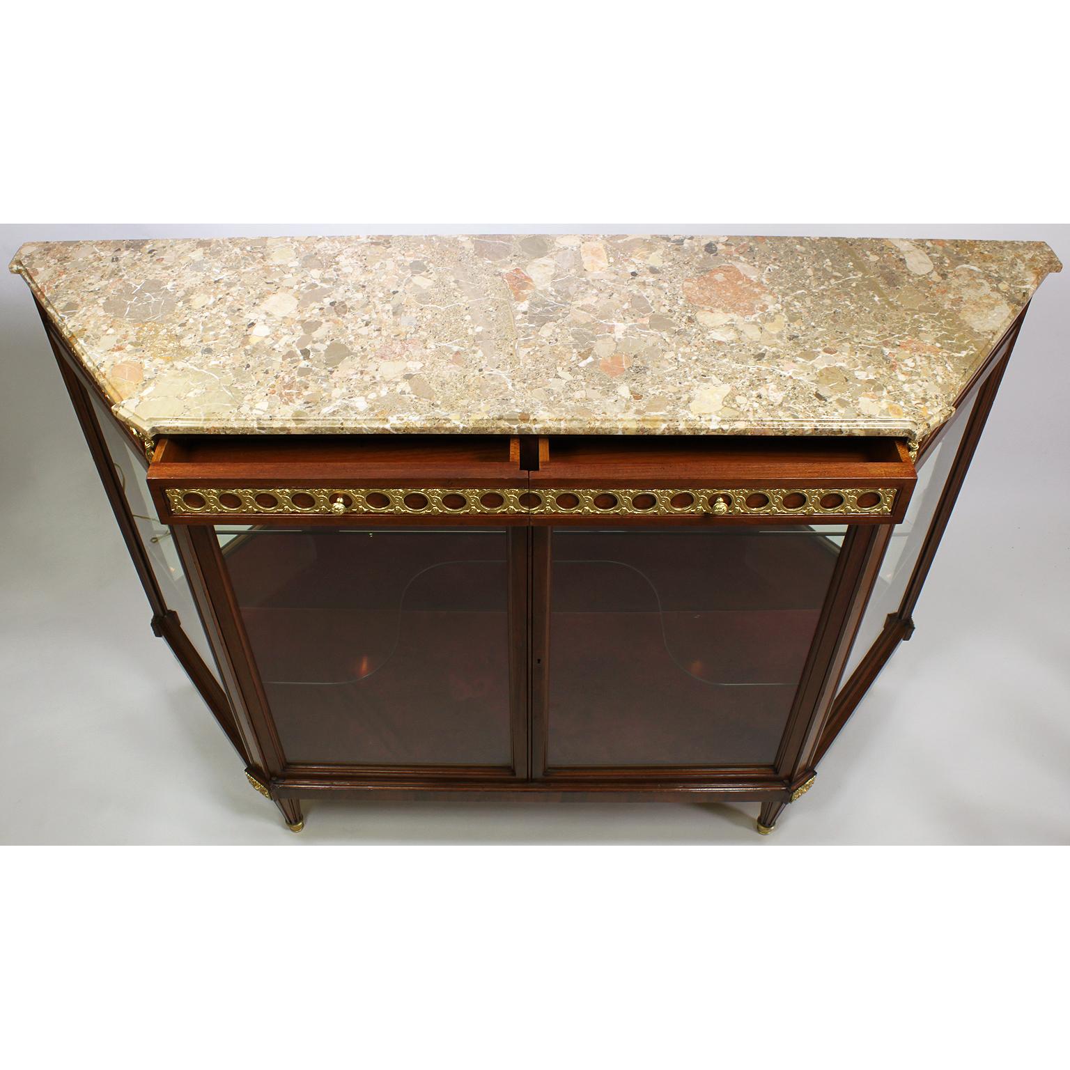 French Louis XVI Style Mahogany and Gilt-Bronze Mounted Sever Exhibition Vitrine For Sale 3