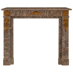 Louis XVI Fireplaces and Mantels