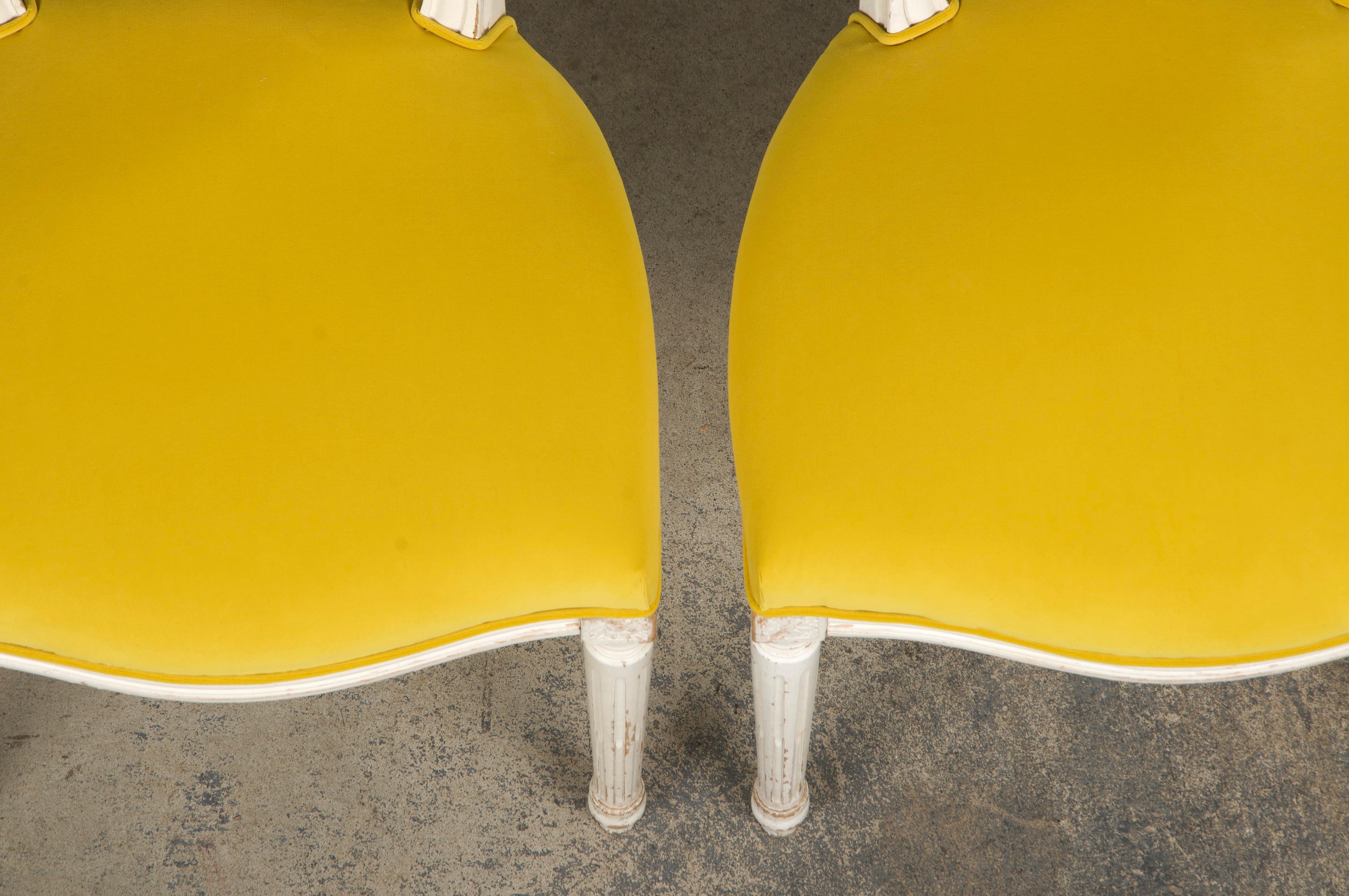 20th Century French Louis XVI Style Painted Side Chairs in Lemon Velvet - A Pair For Sale
