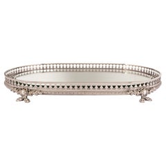 French Louis XVI Style Silvered Bronze Mirrored Oval Centerpiece