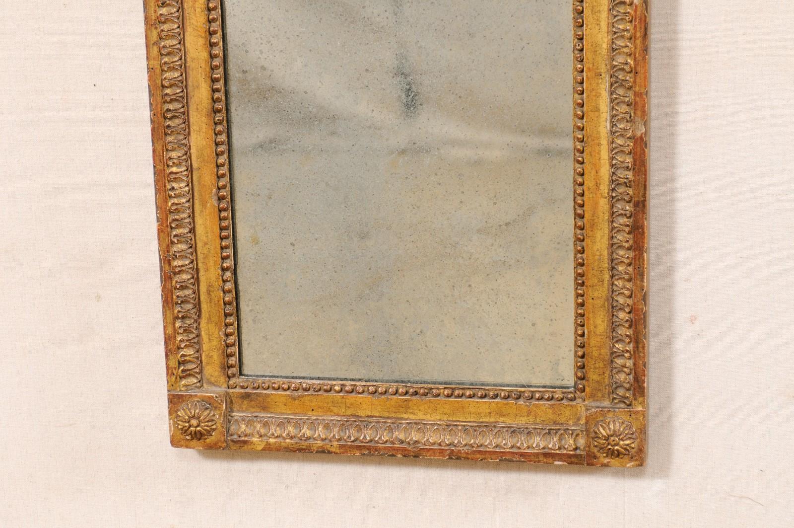 French Louis XVI Style WallPanel Mirror W/Carved Ribbon Crest, Early