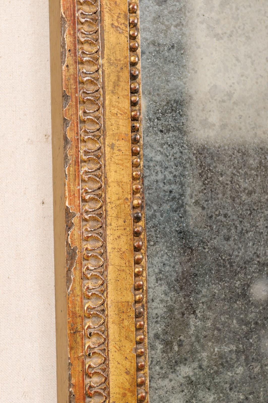 French Louis XVI Style WallPanel Mirror W/Carved Ribbon Crest, Early