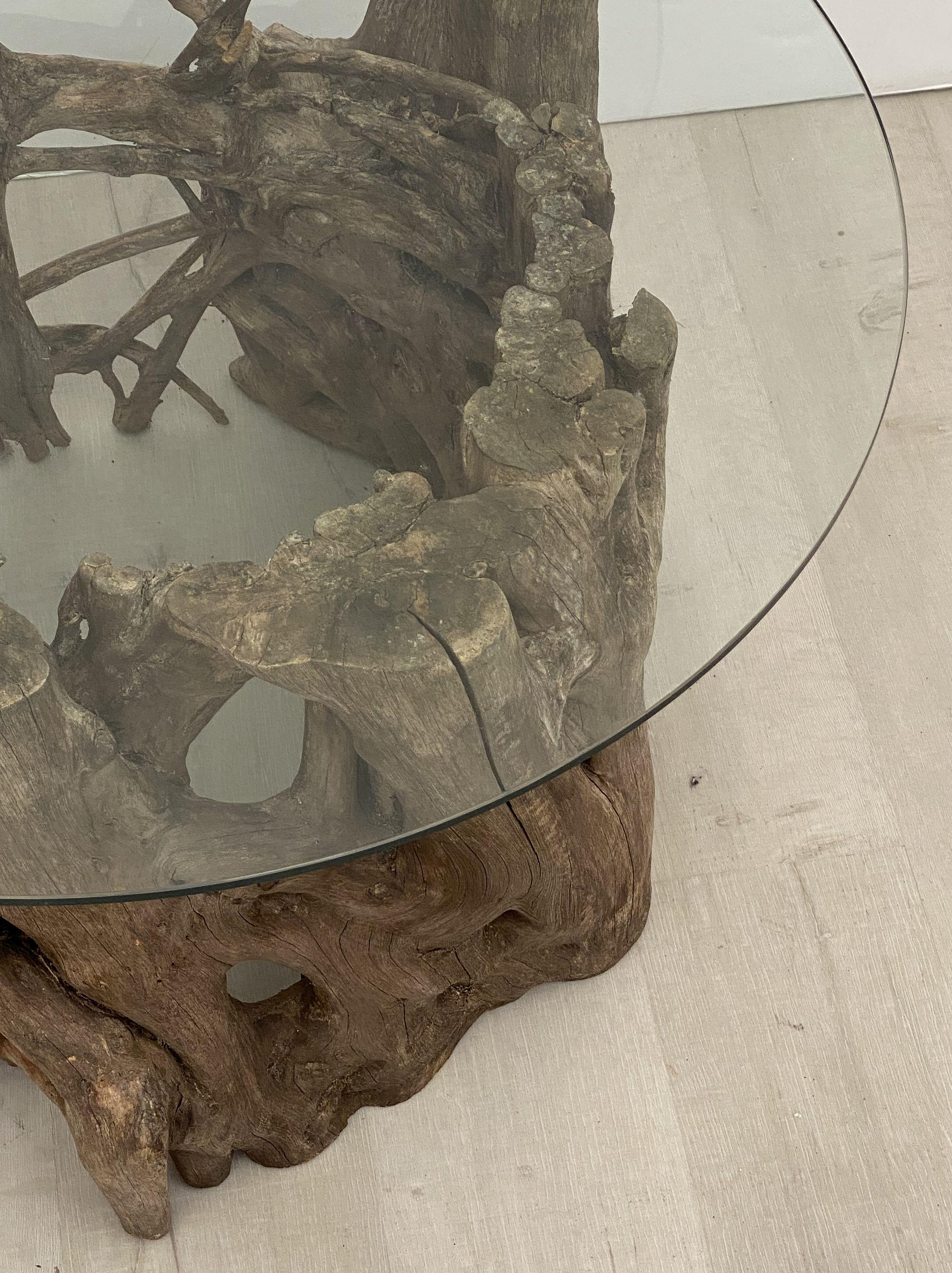 French Low Coffee Table on Rustic Mangrove or Driftwood Base 2