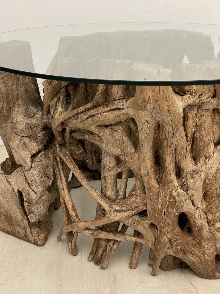 French Low Coffee Table on Rustic Mangrove or Driftwood Base For Sale 10