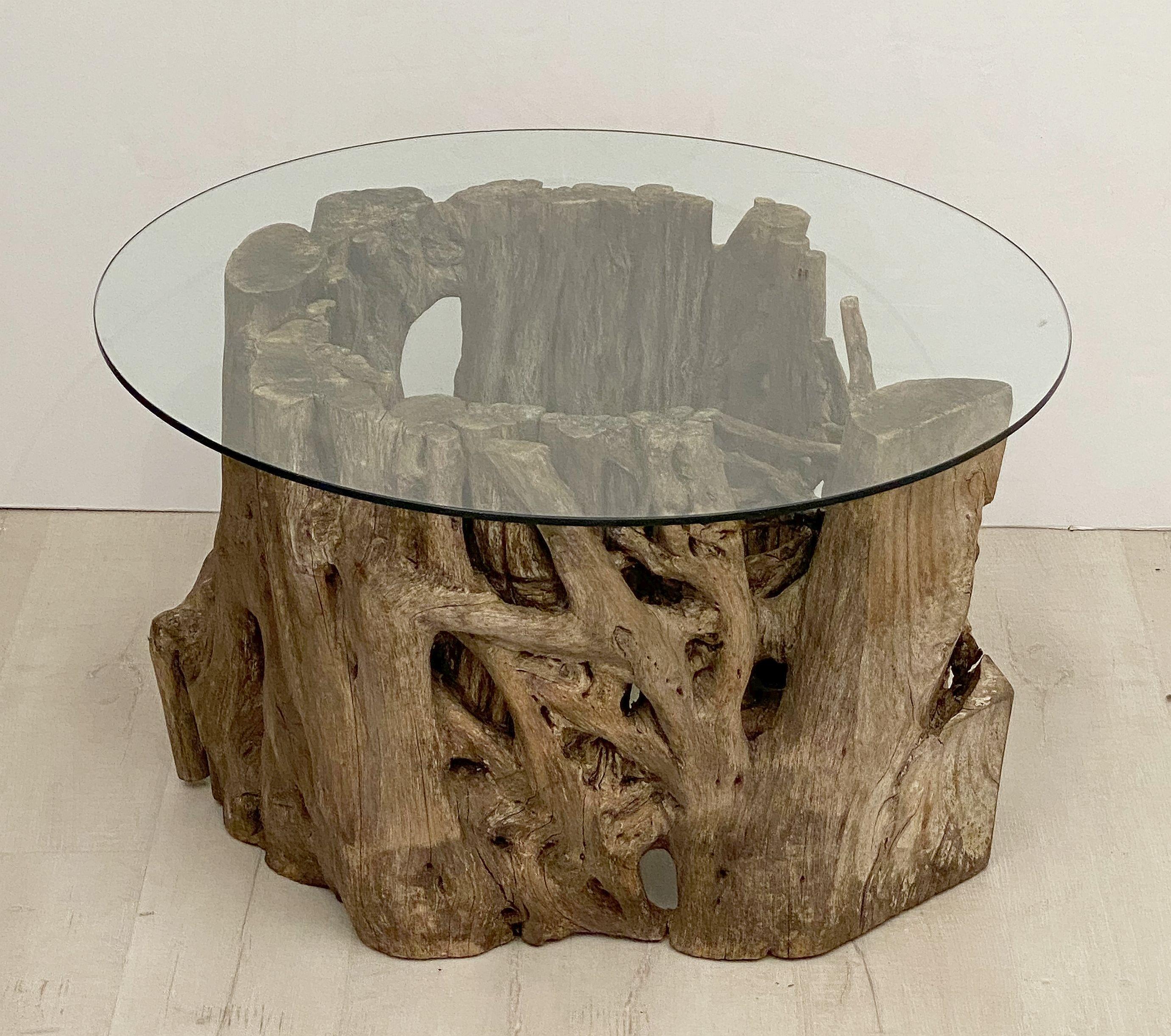 French Low Coffee Table on Rustic Mangrove or Driftwood Base 10