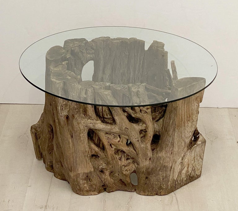 French Low Coffee Table on Rustic Mangrove or Driftwood Base For Sale 13