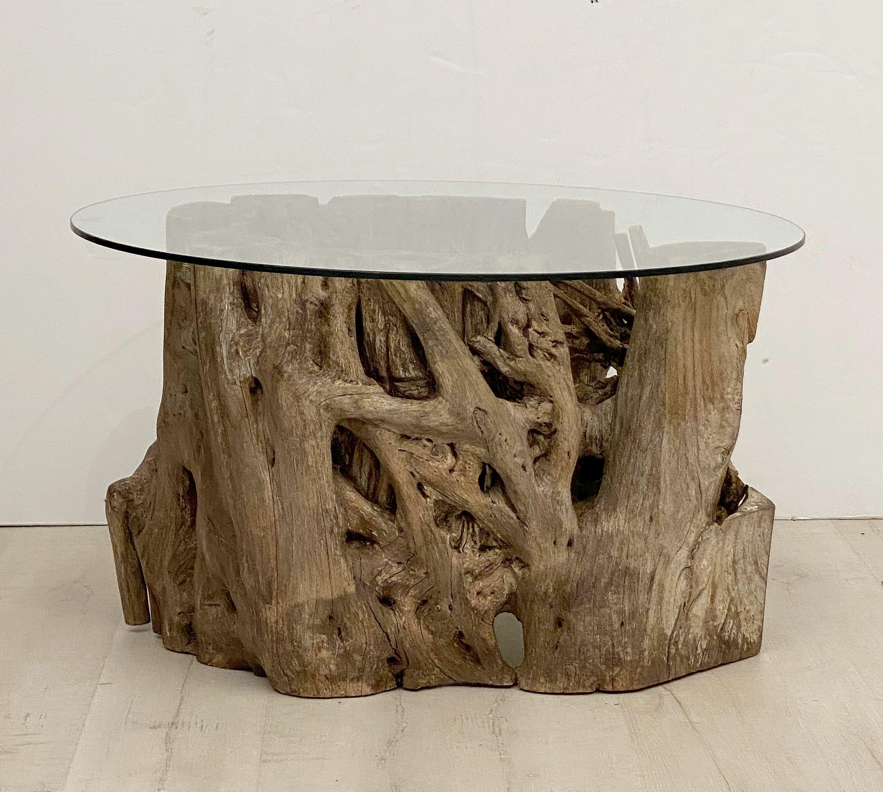 French Low Coffee Table on Rustic Mangrove or Driftwood Base 11