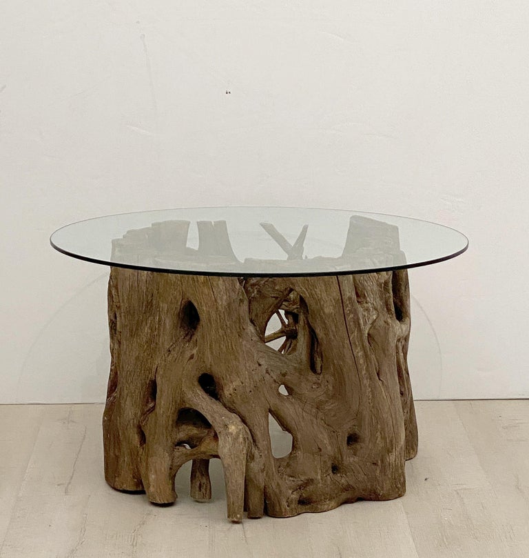 20th Century French Low Coffee Table on Rustic Mangrove or Driftwood Base For Sale