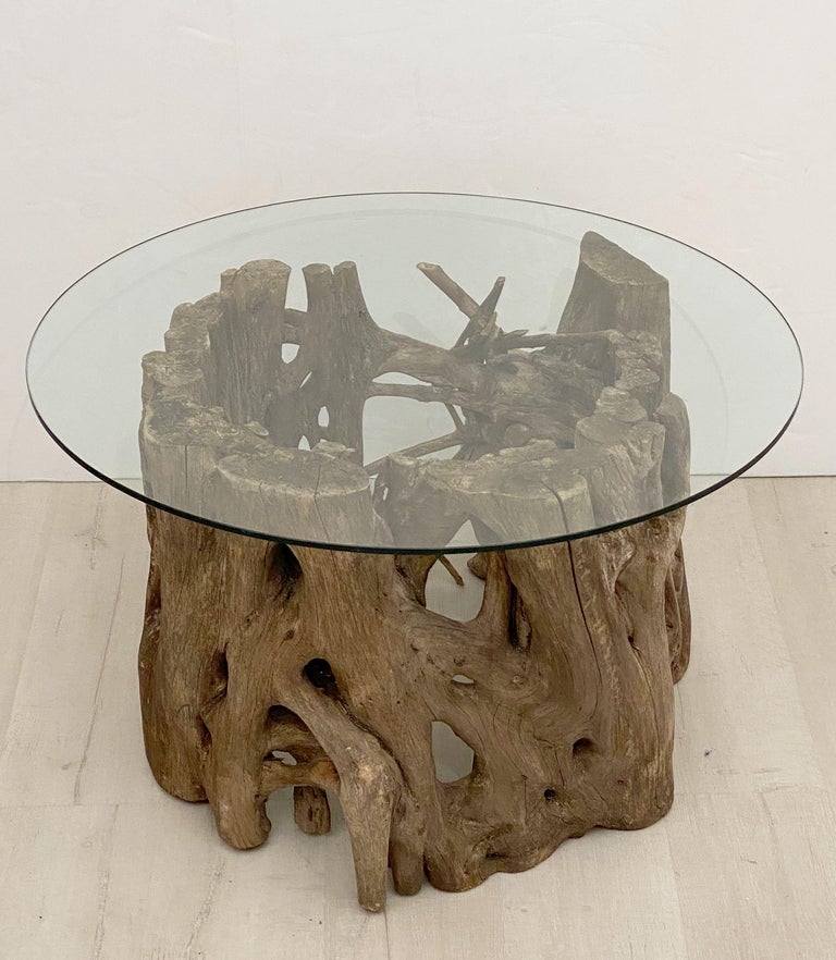 Wood French Low Coffee Table on Rustic Mangrove or Driftwood Base For Sale