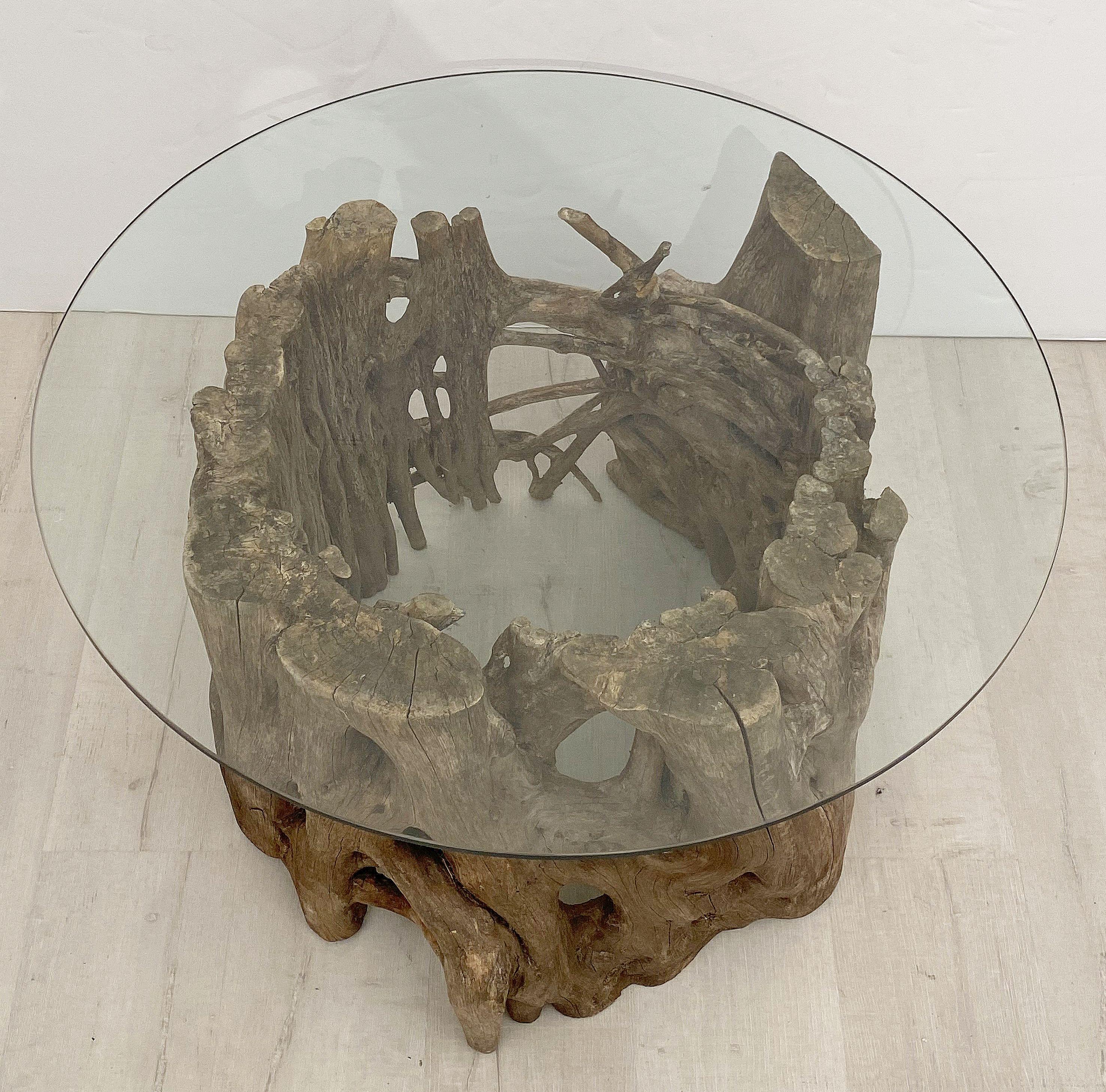 Wood French Low Coffee Table on Rustic Mangrove or Driftwood Base