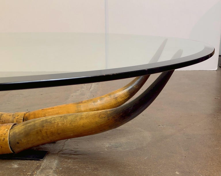 French Low Coffee Table on Steer Horn Base at 1stDibs