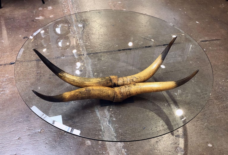 French Low Coffee Table on Steer Horn Base at 1stDibs