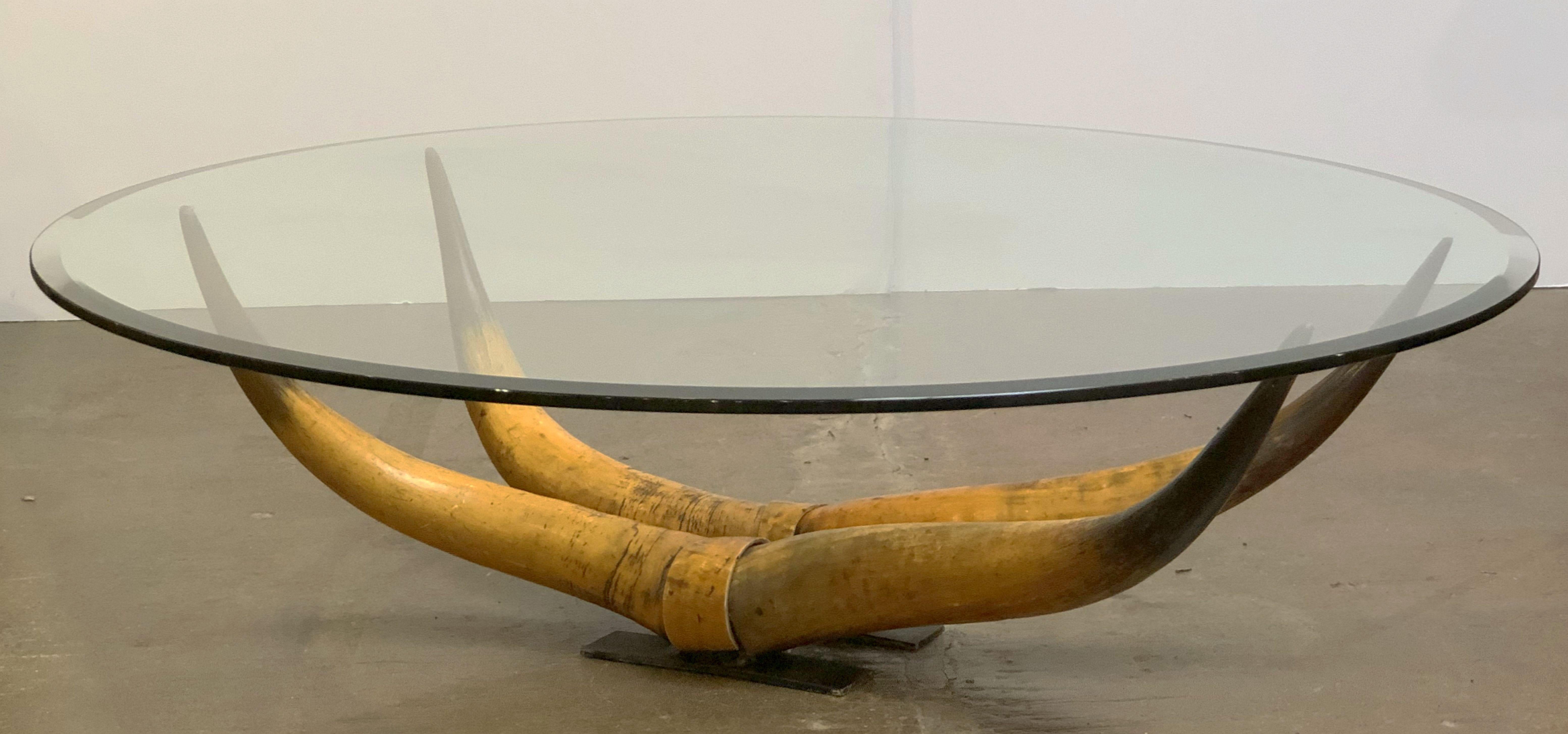 French Low Coffee Table on Steer Horn Base 13