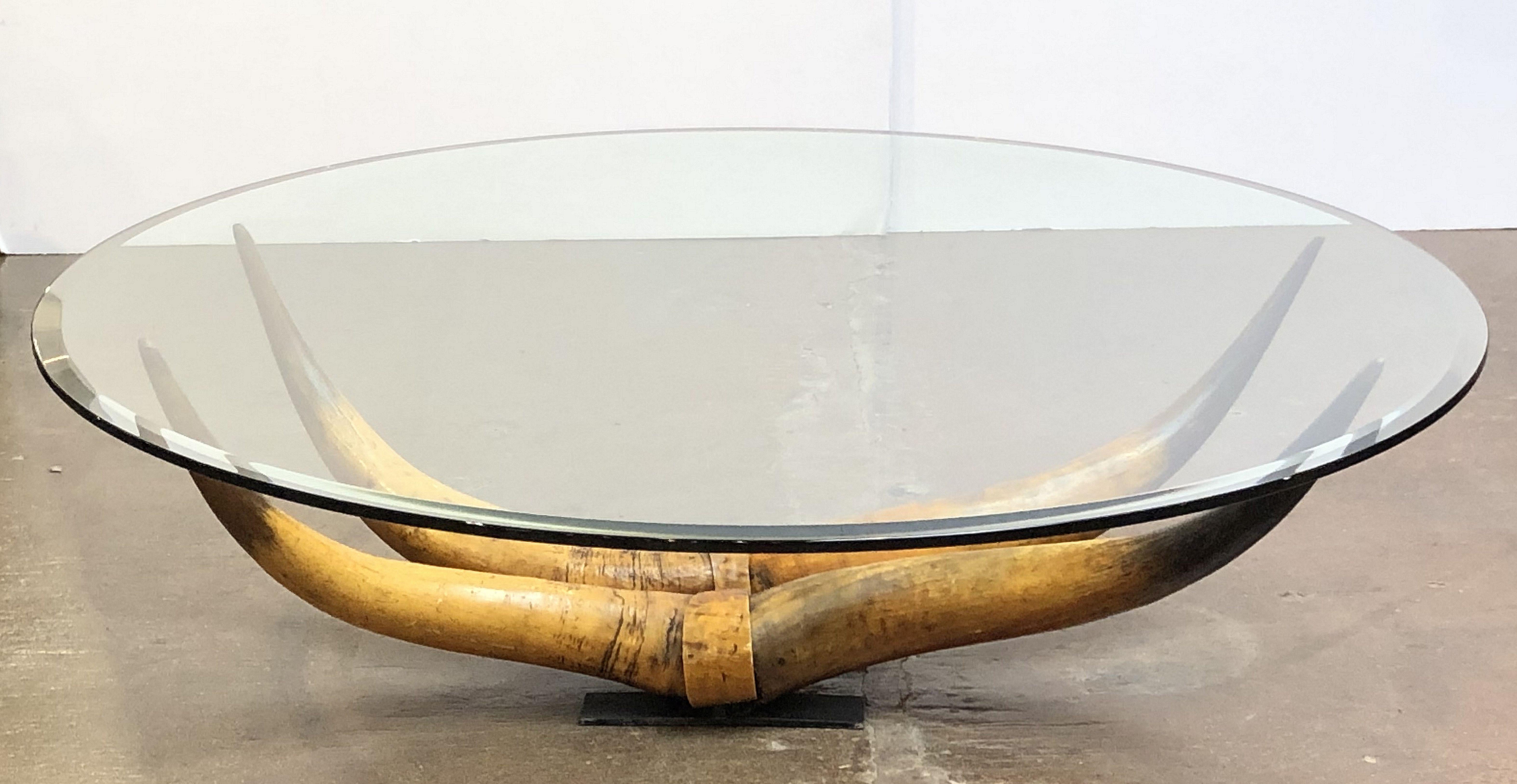 French Low Coffee Table on Steer Horn Base 1