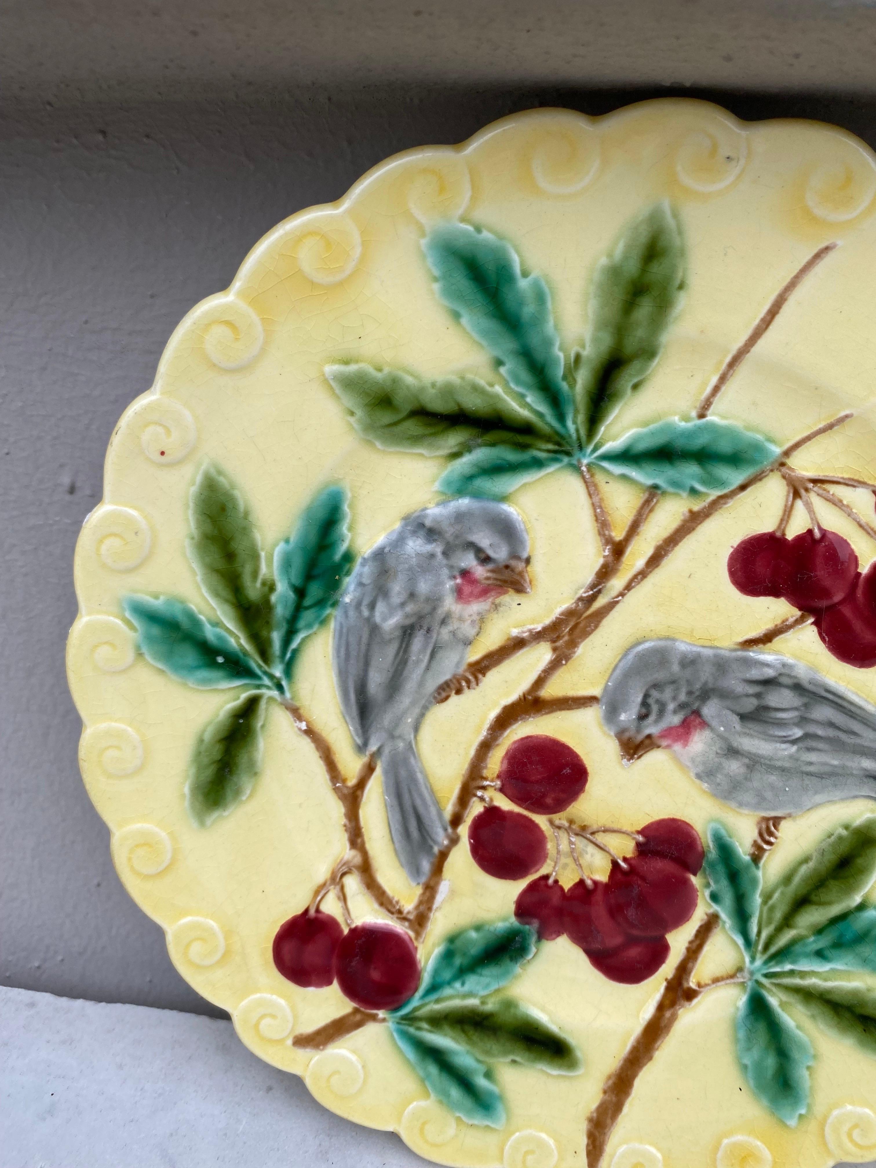 French Provincial French Majolica Bird and Cherries Plate Sarreguemines, circa 1880