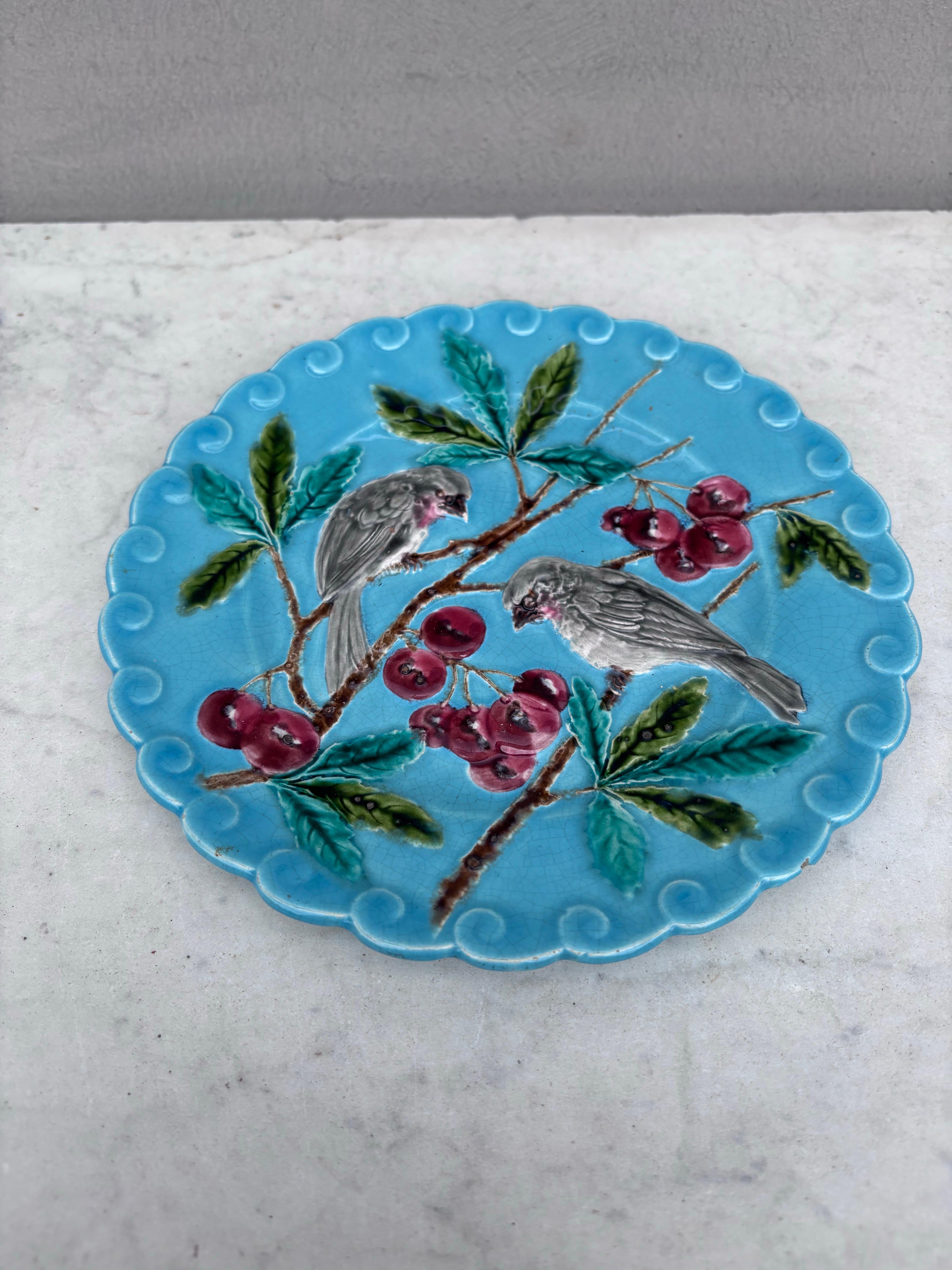 Französisch Majolika Vogel mit Kirschen aqua Platte Sarreguemines, um 1880.
Ein Chip auf der Rückseite.