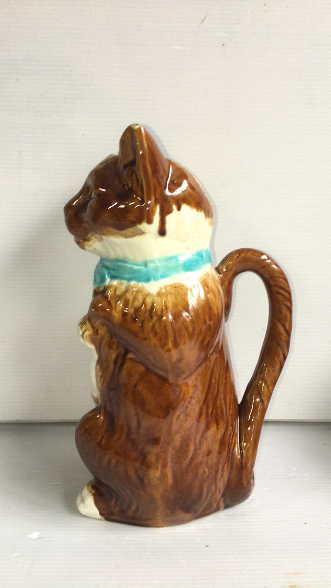 pitcher of a cat