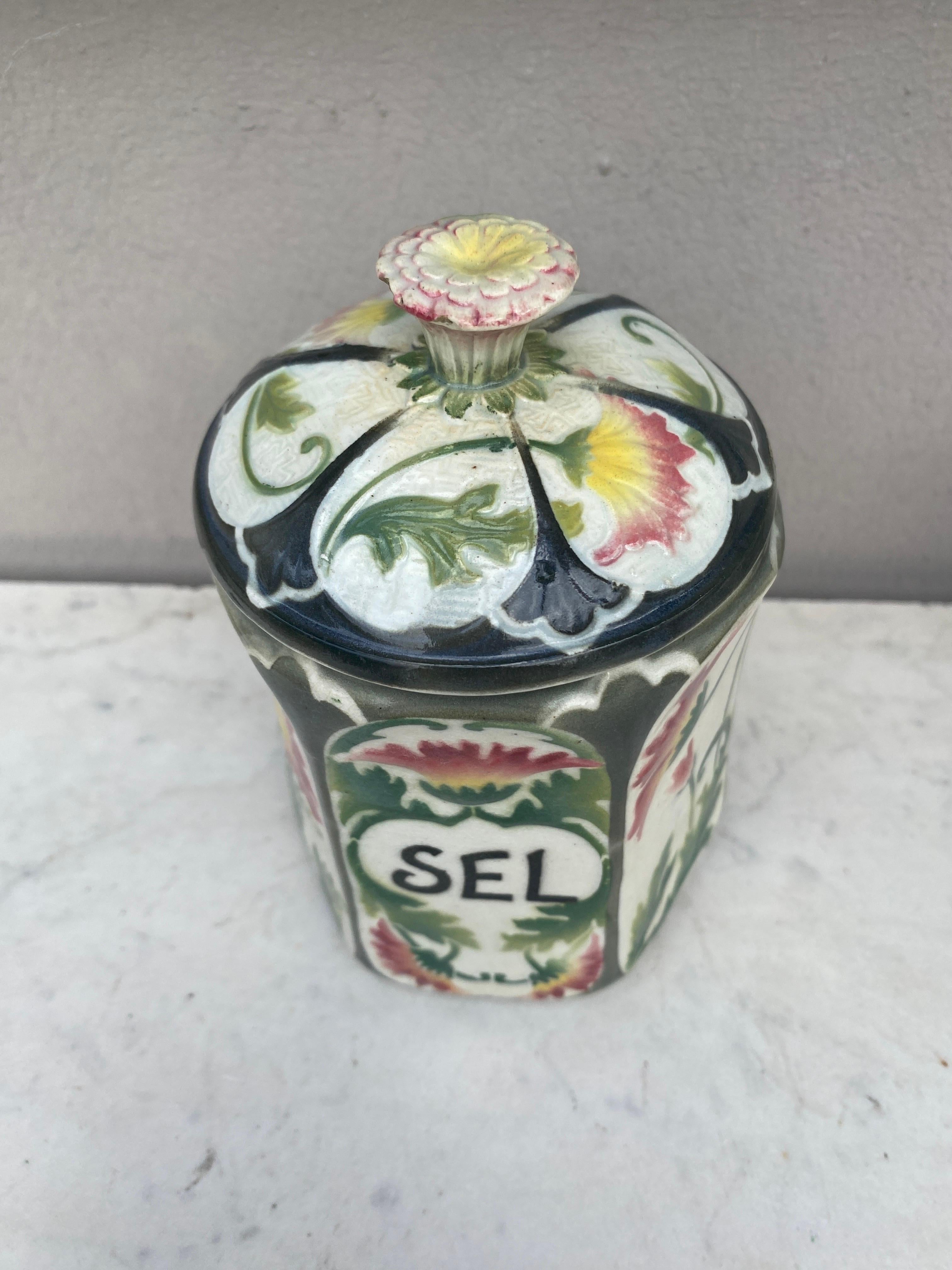 French Majolica Daisies Kitchen Salt Canister signed Saint Clement Keller & Guerin Circa 1900.
H / 6.8 inches.
Salt / Sel in French.