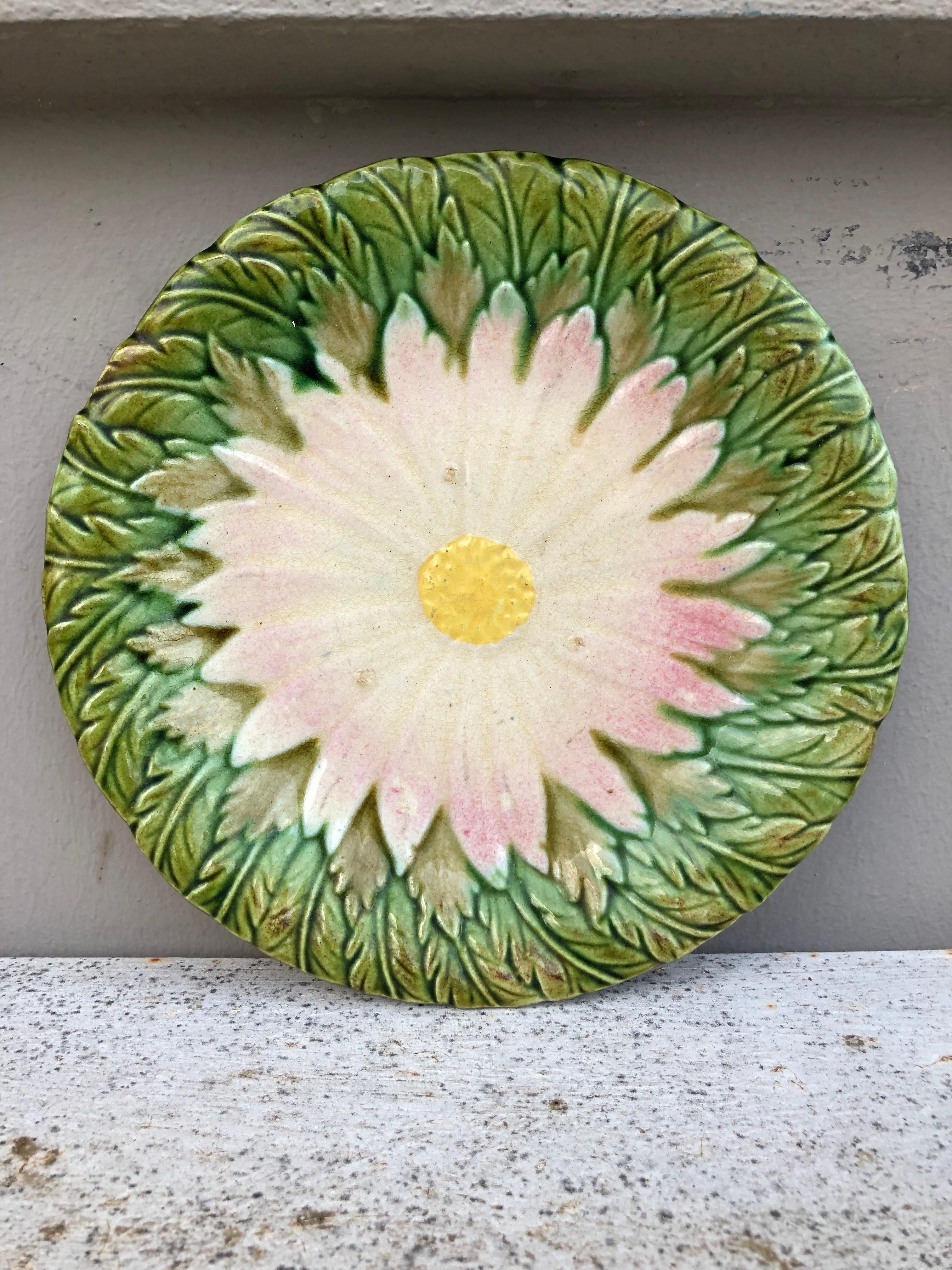 French Majolica daisy plate Orchies unsigned, circa 1880.