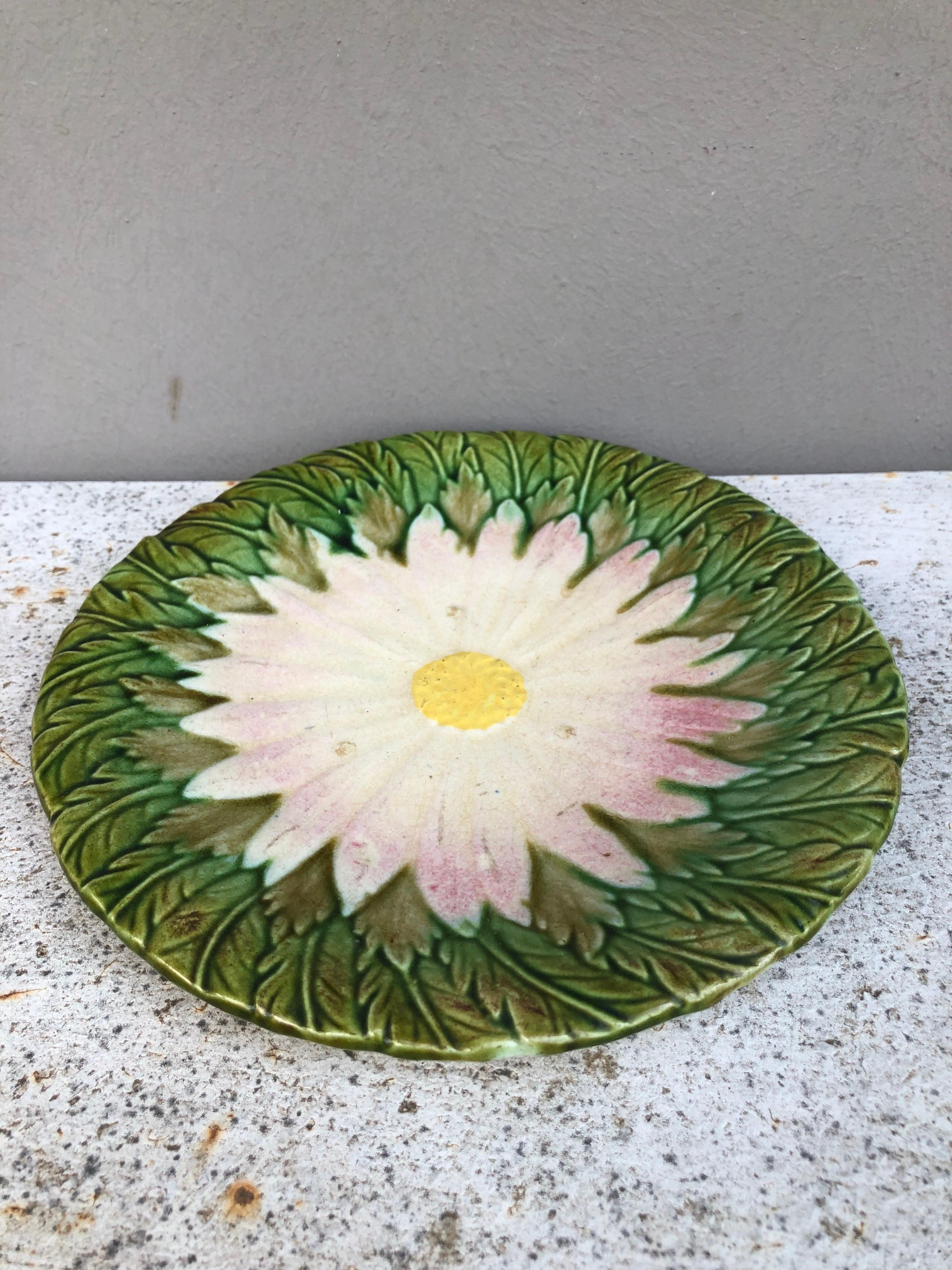 Early 19th Century French Majolica Daisy Plate Orchies, circa 1880