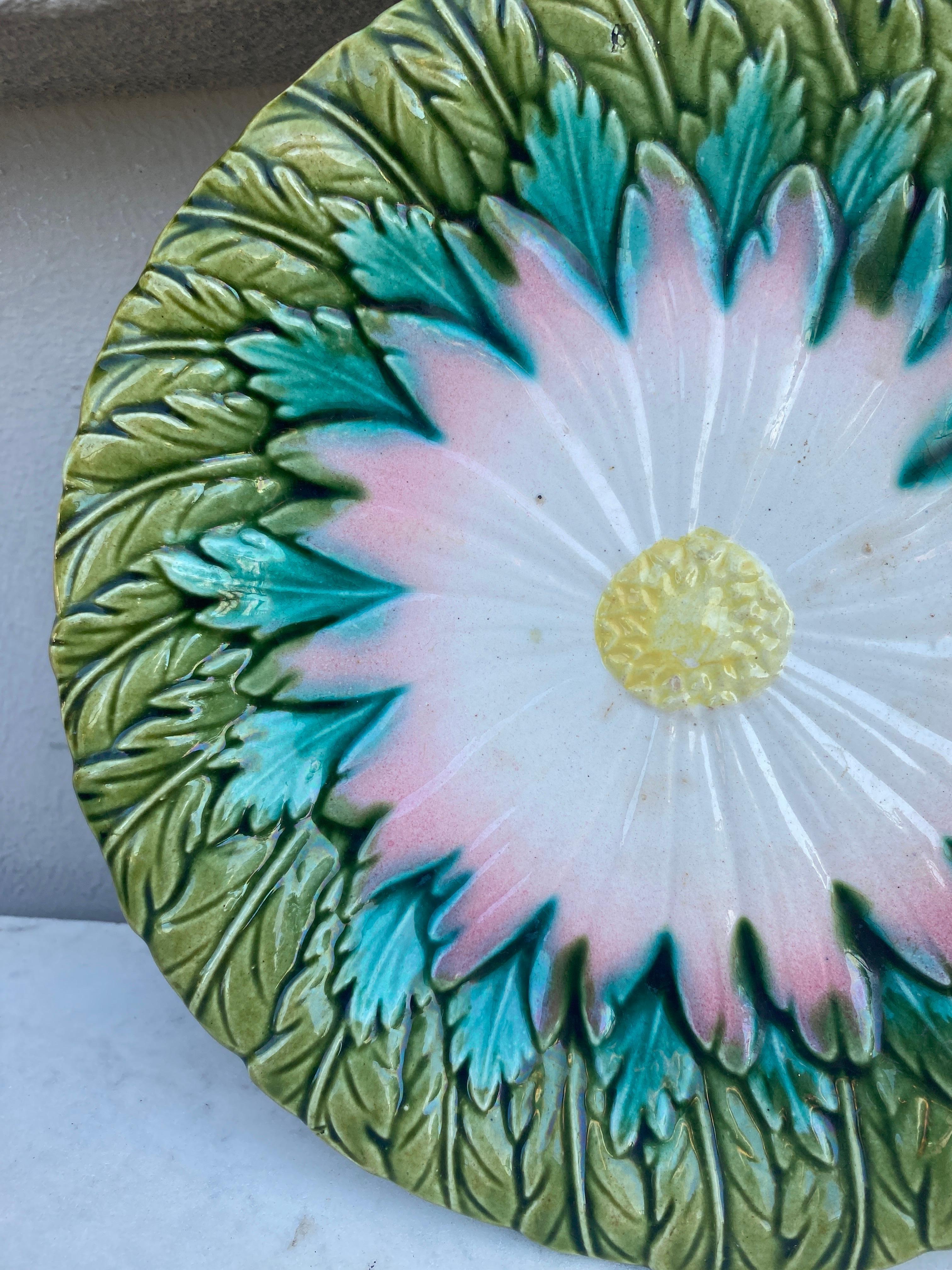 French Majolica daisy plate Orchies unsigned, circa 1890.