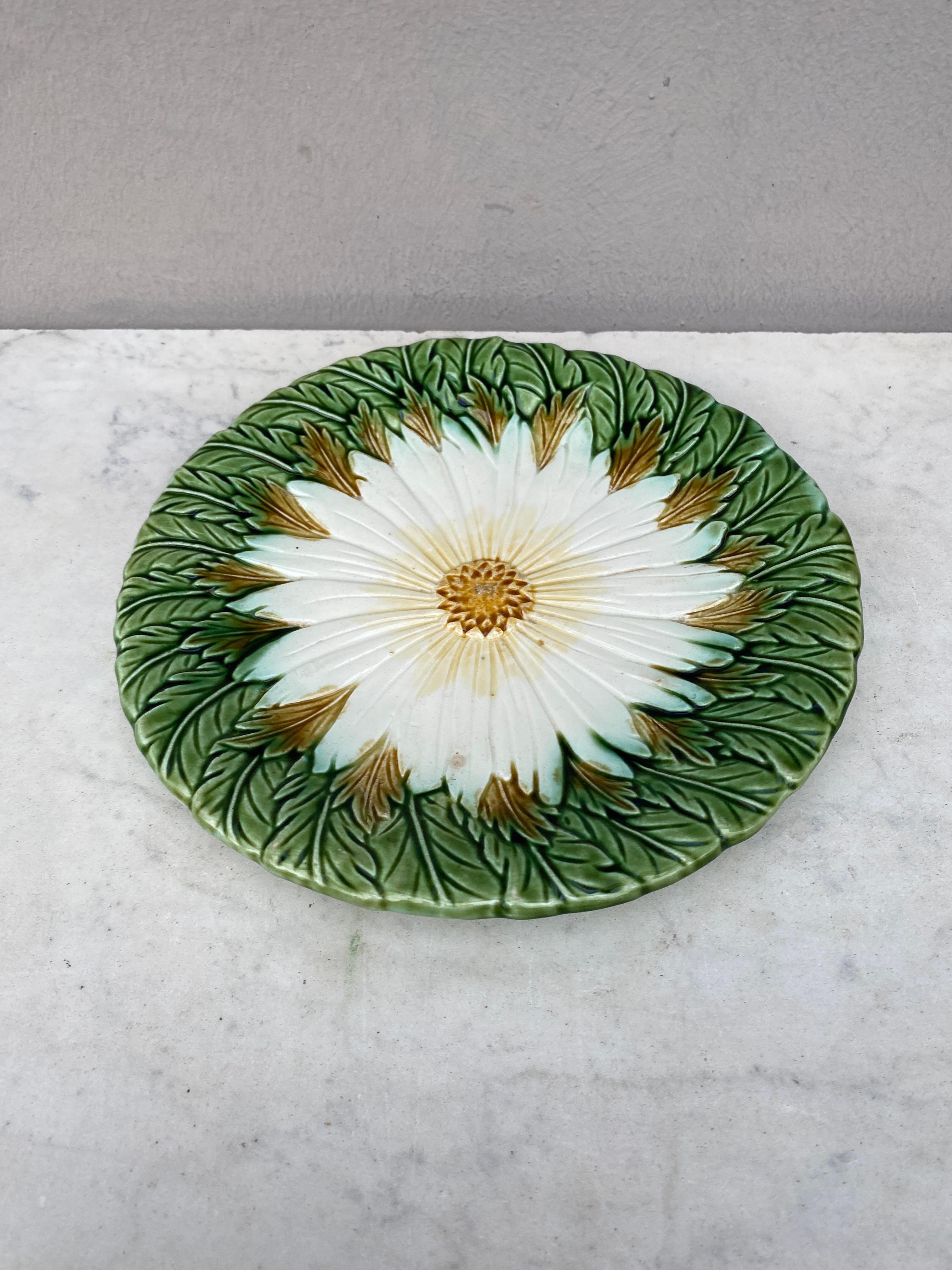 French Majolica daisy plate Orchies unsigned, circa 1890.