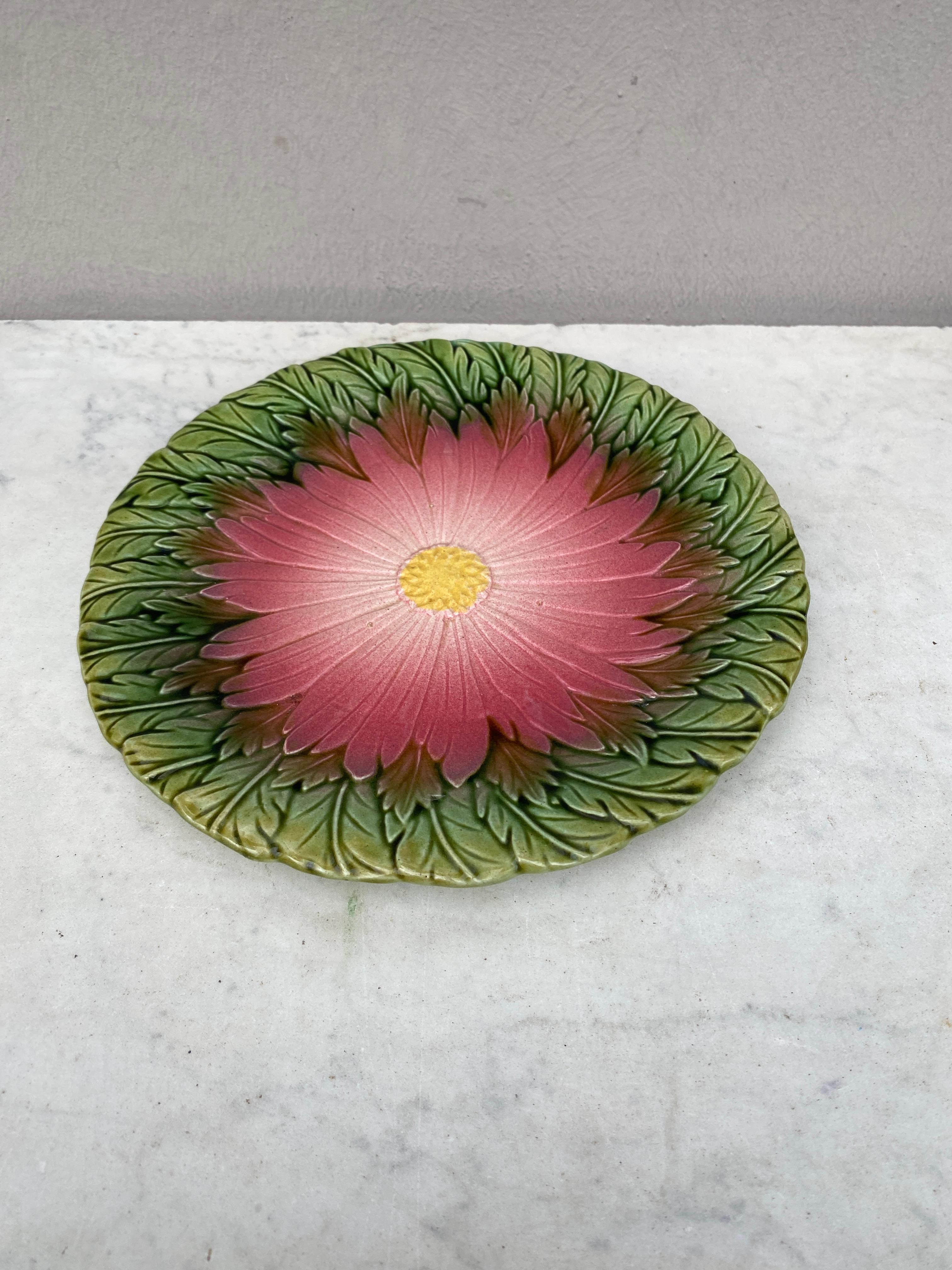 French Majolica daisy plate Orchies unsigned, circa 1890.