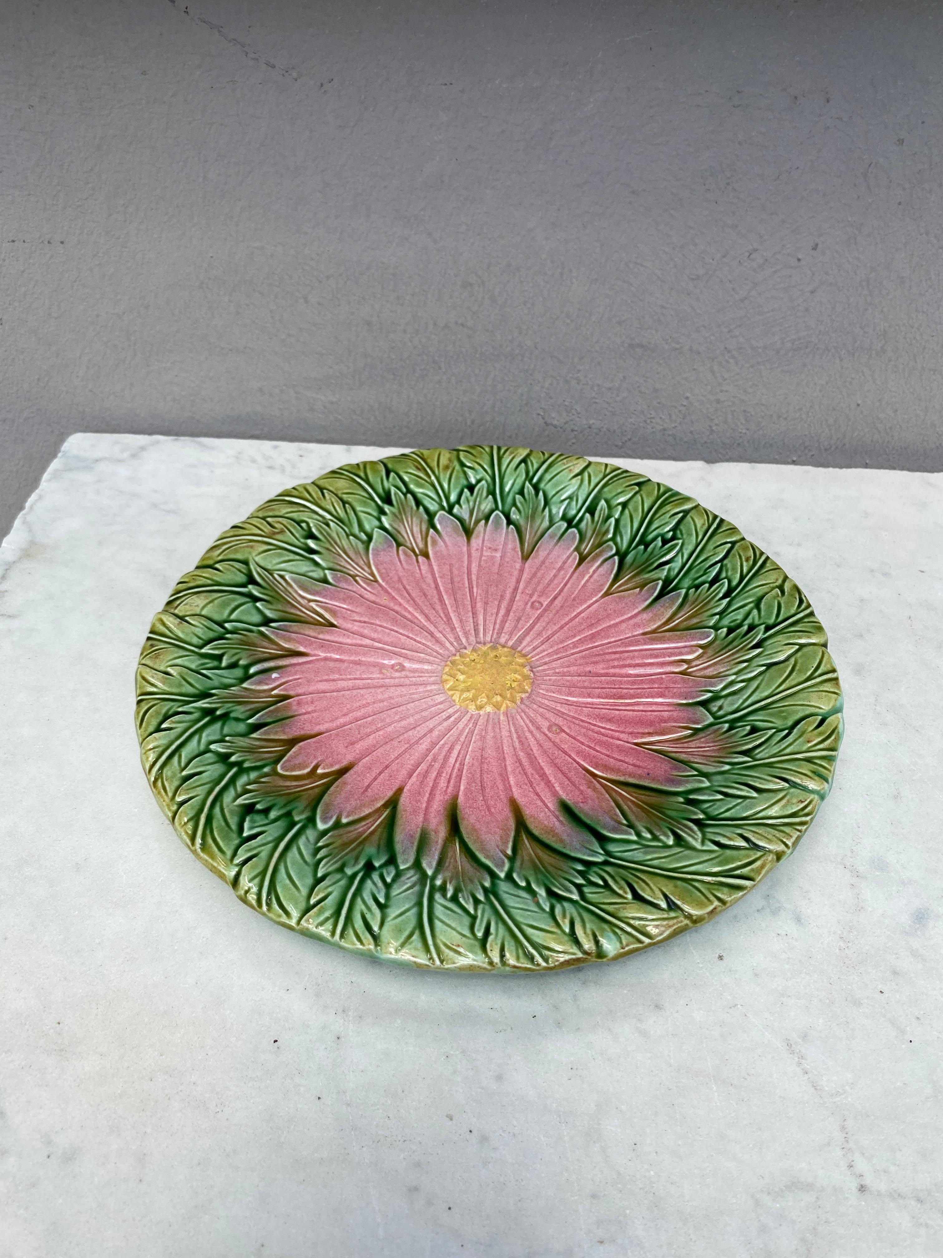 French Majolica daisy plate Orchies unsigned, circa 1890.
