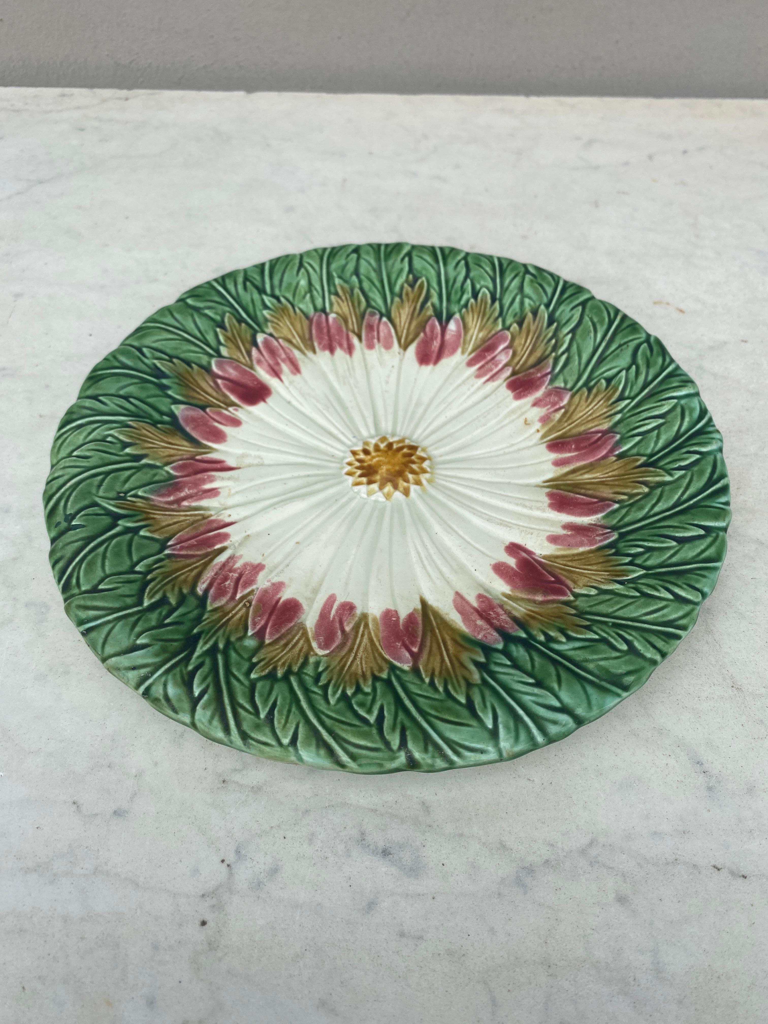 Art Nouveau French Majolica Daisy Plate Orchies, circa 1890