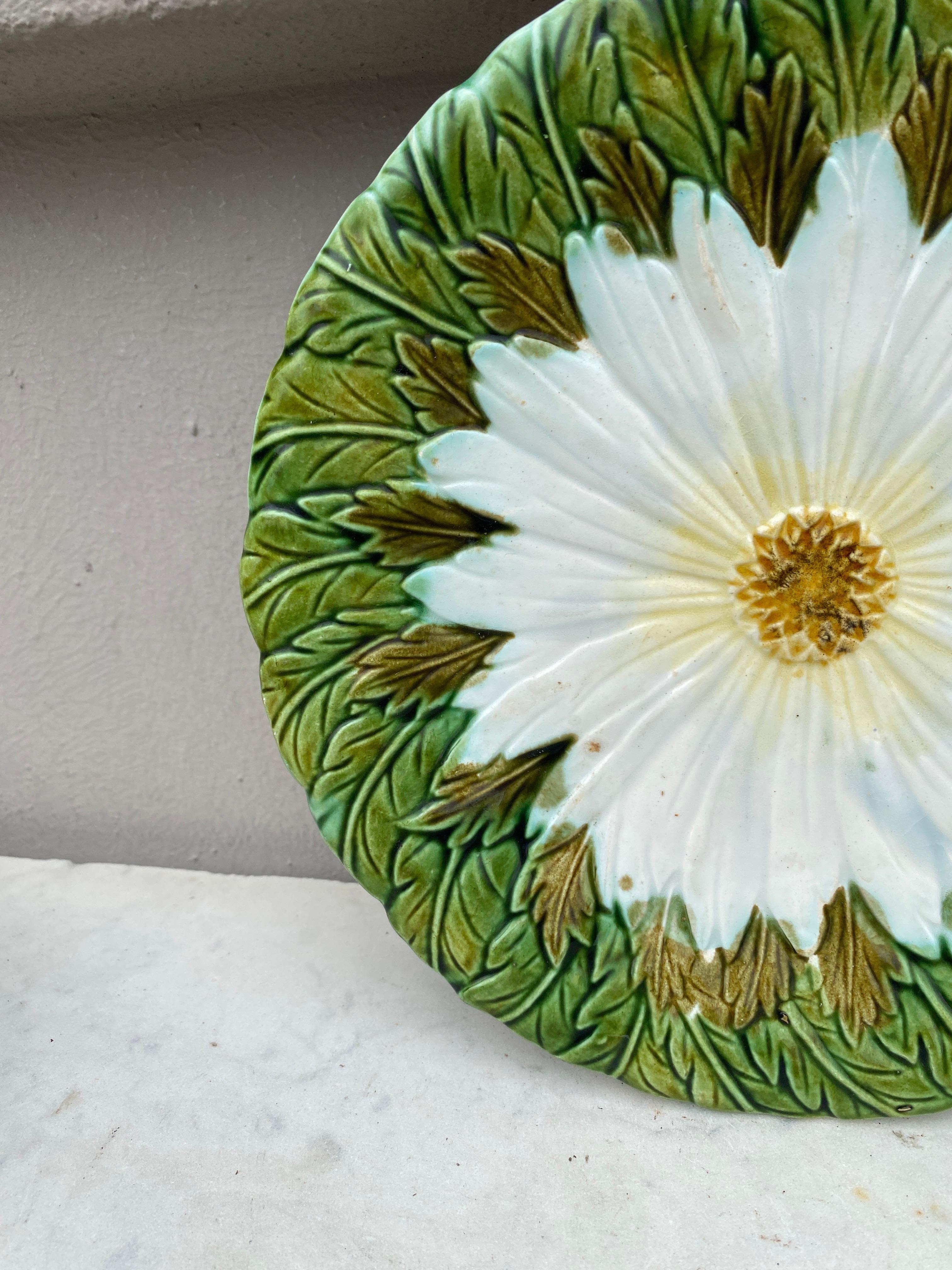 Art Nouveau French Majolica Daisy Plate Orchies, circa 1890 For Sale