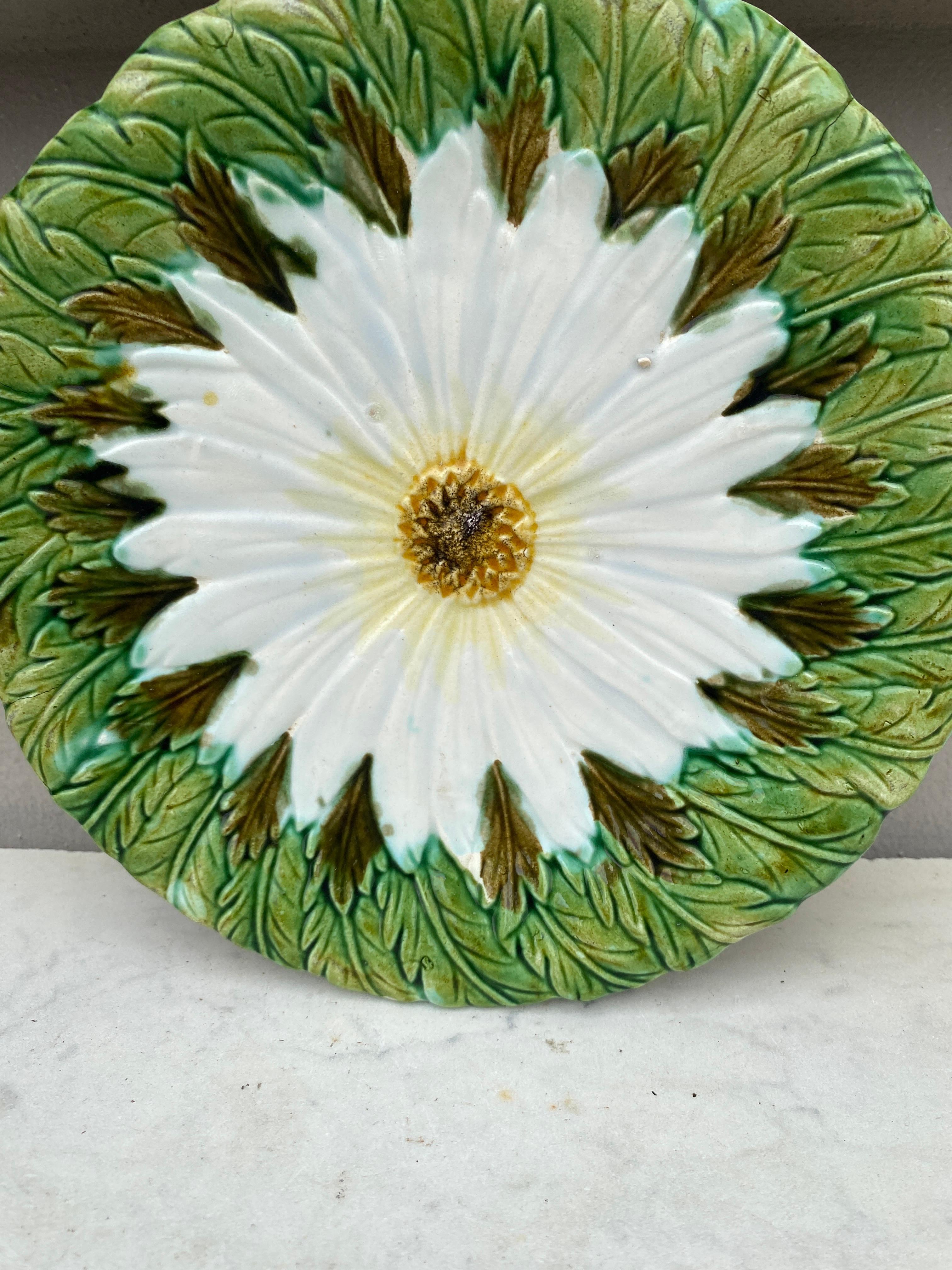 French Majolica Daisy Plate Orchies, circa 1890 In Good Condition For Sale In Austin, TX