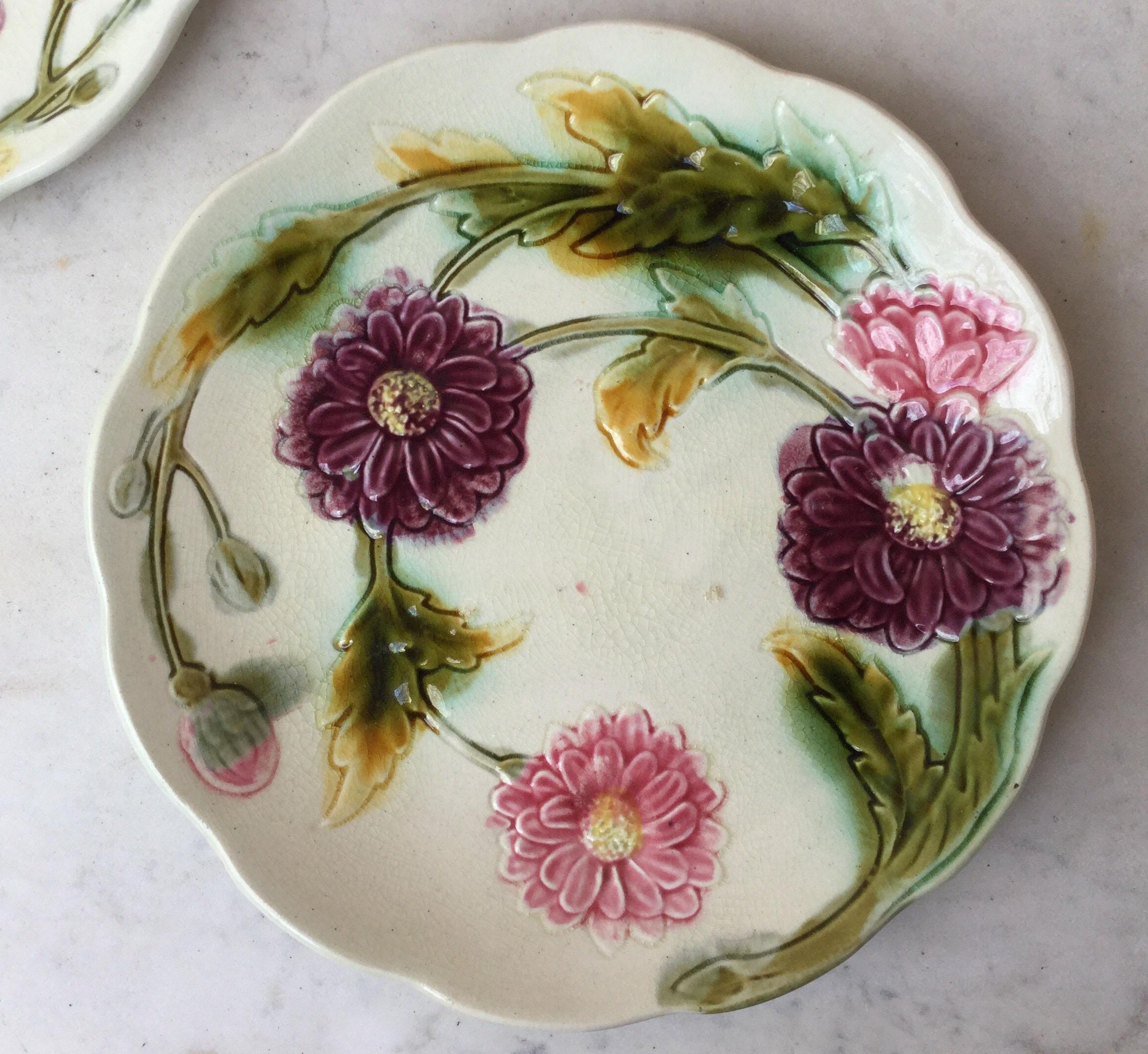 Lovely French Majolica plate with purple and pink dalhias Orchies, circa 1900.

