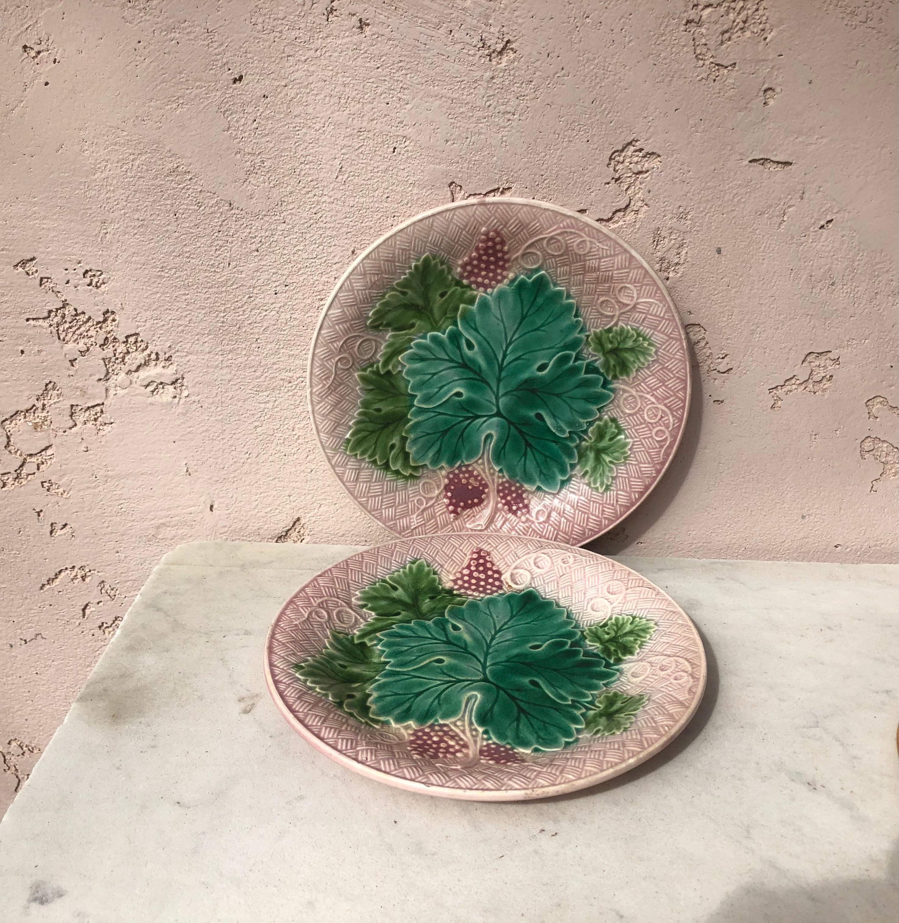 French Majolica grapes plate Salins on a pink background (East of France), circa 1890.