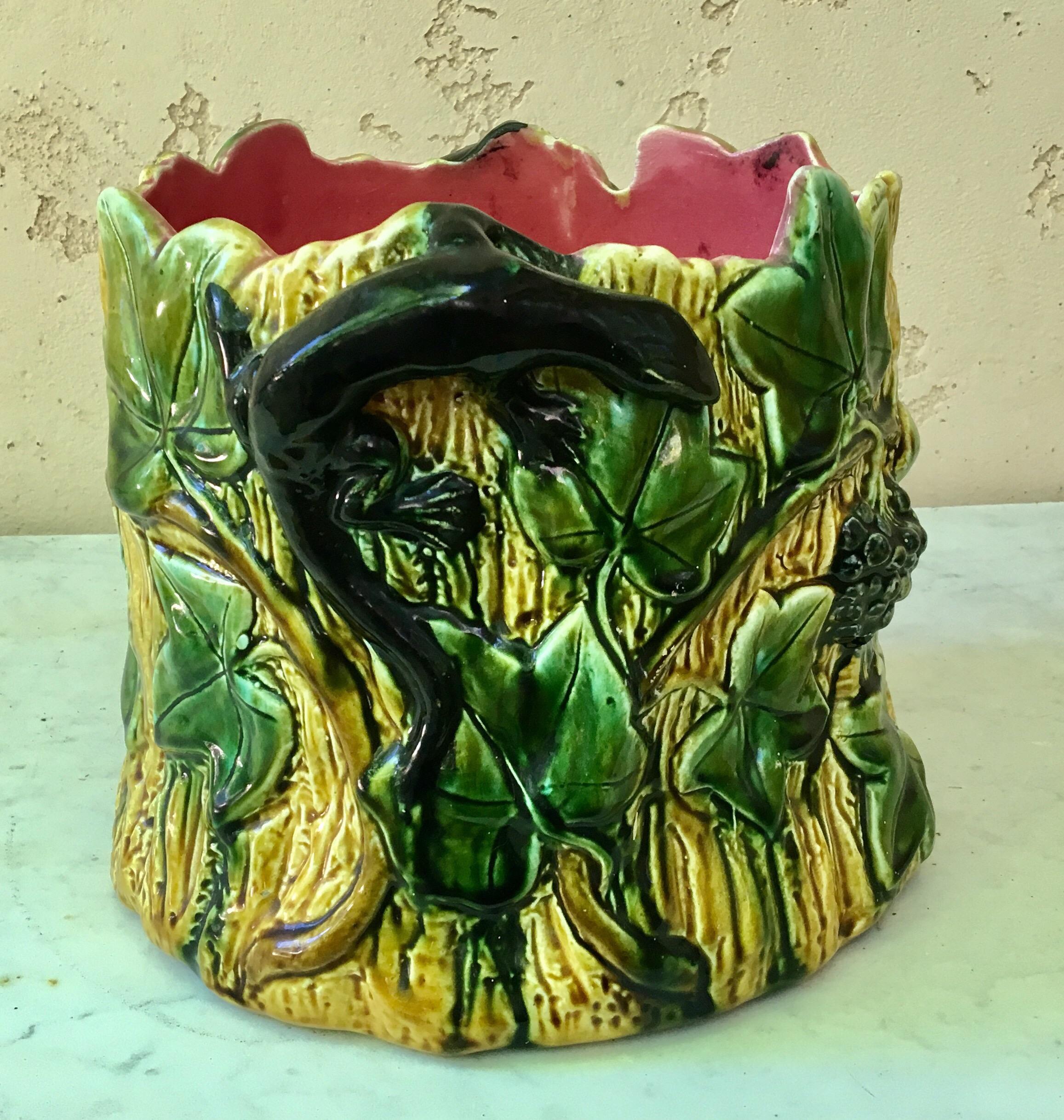 French Majolica planter jardinière with ivy leaves, two blacks lizards on the handles, circa 1880.